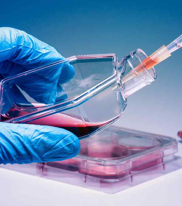 https://diversegenomics.in/wp-content/uploads/2020/04/service_5.jpg